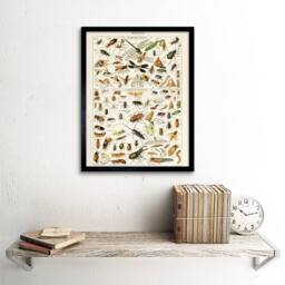 "Artery8 Millot Encyclopedia Page Insects Dragonfly 12x16"" Framed Art Print - Size: W12"" x H16""" - thumbnail 2
