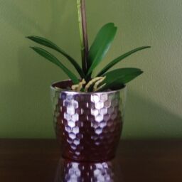 Leaf 50cm Phalaenopsis Orchid Artificial Dark Pink Silver - thumbnail 3