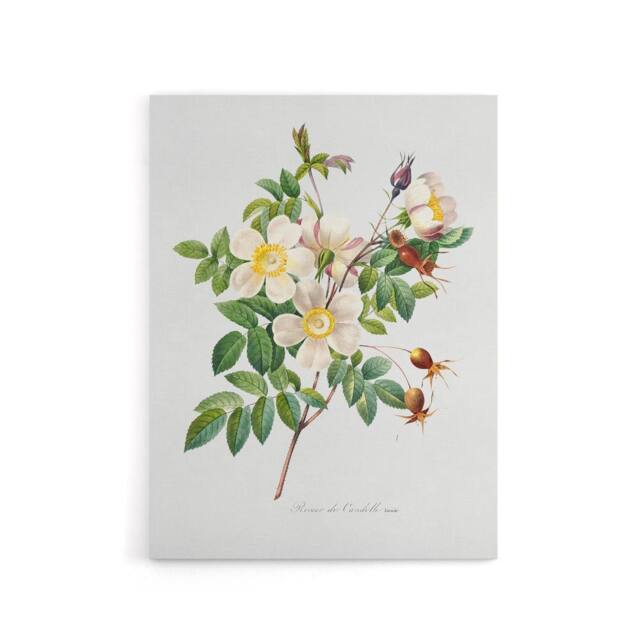 "Artery8 White Rose Floral Redoute Vintage Canvas Wall Art - Size: W24"" x H32""" - image 1