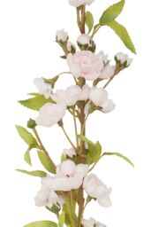 Orsina Cherry Blossom Spray - 94cm Pink, Delicate Faux Blossoms On A Graceful Branch Stem, Lifelike Artificial in Pink - thumbnail 6