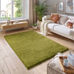 Smart Living Soft Fluffy 5cm Thick Pile Shaggy Area Rugs for Living Room, Bedroom in Green - Size: 60 cm x 110 cm