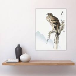 "Artery8 Black Eared Kite Bird Japanese Japan Wall Art Print Numata Kashu - Size: W12"" x H16""" - thumbnail 4