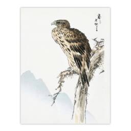 "Artery8 Black Eared Kite Bird Japanese Japan Wall Art Print Numata Kashu - Size: W12"" x H16""" - thumbnail 1