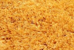 Celebrity Interiors Boston Plain Ochre Rug in Yellow - Size: 120 cm x 170 cm - thumbnail 2