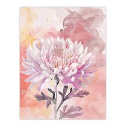 "Artery8 Chrysanthemum Flower Watercolour Pastel Soft Wall Art Print in Pink - Size: W18"" x H24""" - thumbnail 1