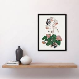 Artery8 Cyclamen Butterfly Beetles & Shell Bolton Framed Wall Art Print in White - Size: A4 - thumbnail 4