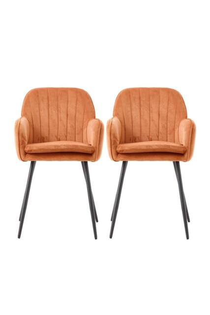 Garden Sanctuary Set of 2 Upholstered Dining Chairs in Orange - image 1