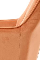 Garden Sanctuary Set of 2 Upholstered Dining Chairs in Orange - thumbnail 8