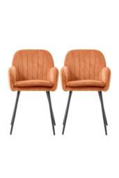 Garden Sanctuary Set of 2 Upholstered Dining Chairs in Orange
