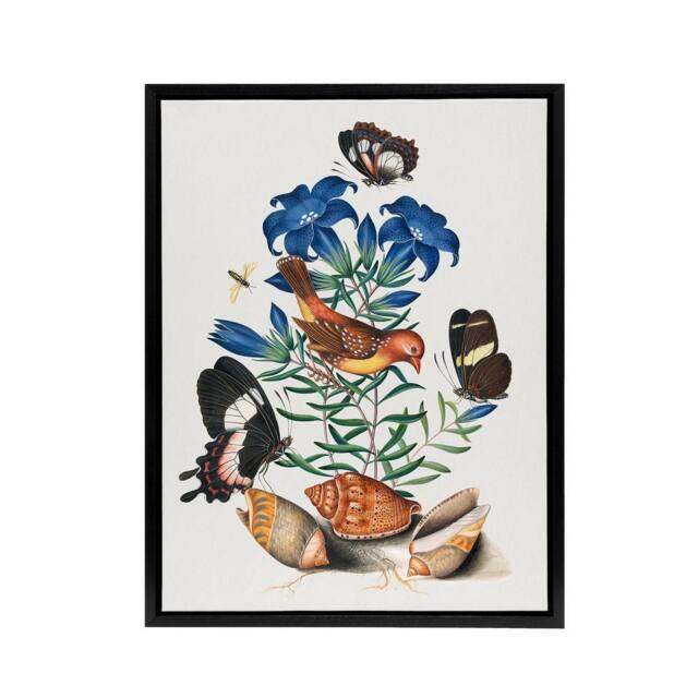 "Artery8 Red Avadavat Swallowtail & Shells Bolton Black Framed Canvas Art - Size: W12"" x H16""" - image 1