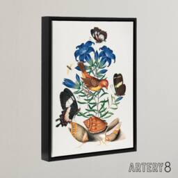 "Artery8 Red Avadavat Swallowtail & Shells Bolton Black Framed Canvas Art - Size: W12"" x H16""" - thumbnail 2