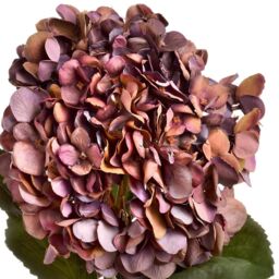 Hill Interiors Artificial Autumn Hydrangea in Purple - thumbnail 2