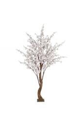 KDMD White Yoshino Blossom Tree 1.8m - thumbnail 1