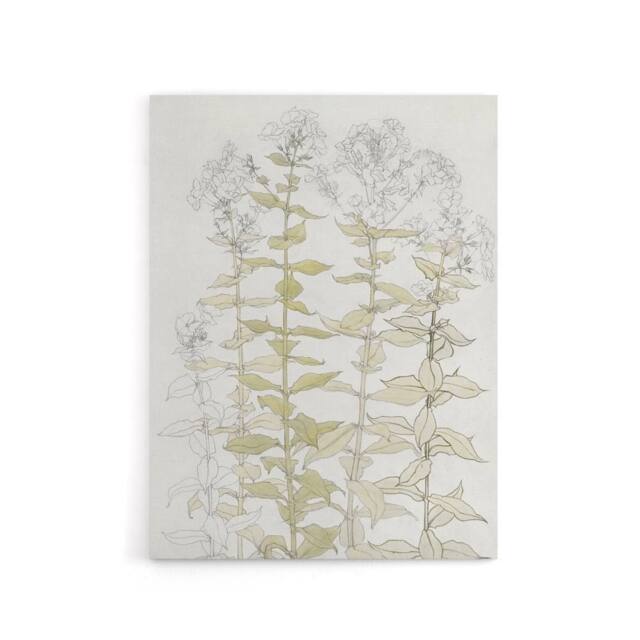 "Artery8 Phlox Colour Sketch of Flowers Canvas Wall Art Print Julie Graag in White - Size: W18"" x H24""" - image 1