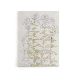 "Artery8 Phlox Colour Sketch of Flowers Canvas Wall Art Print Julie Graag in White - Size: W18"" x H24""" - thumbnail 1