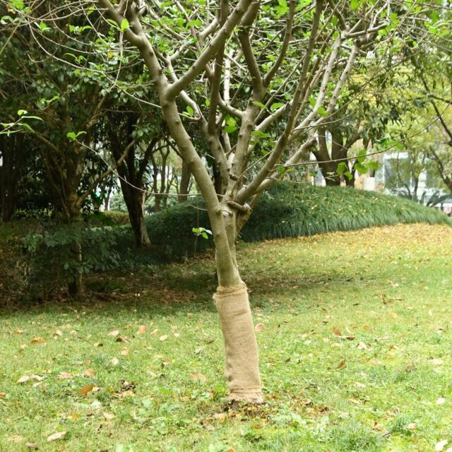 Berkfield Home Jute Roll 0.5x10 m 100% Jute 200 gsm - image 1