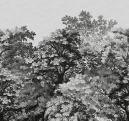 Superfresco Easy Forest Canopy Mono Print To Order 3m x 2.8m Mural in Black - thumbnail 2