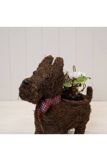 KDMD Scottie Dog Planter with Tartan Ribbon in Dark Brown - image 1
