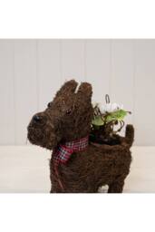 KDMD Scottie Dog Planter with Tartan Ribbon in Dark Brown - thumbnail 2