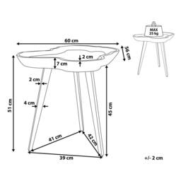 Wyld and Coco Timberline Teak Side Table Bowl Top Stainless Steel Tripod Base in Brown - thumbnail 3