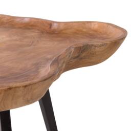 Wyld and Coco Timberline Teak Side Table Bowl Top Stainless Steel Tripod Base in Brown - thumbnail 5
