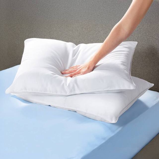 Coopers of Stortford Pack of 2 Bounce Back Pillows, 550gsm, Non-Allergenic Cover in White