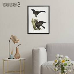 "Artery8 James Ellsworth De Kay Crow Blackbirds Illustration Framed Canvas Art in White - Size: W12"" x H16""" - thumbnail 3