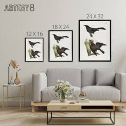 "Artery8 James Ellsworth De Kay Crow Blackbirds Illustration Framed Canvas Art in White - Size: W12"" x H16""" - thumbnail 4