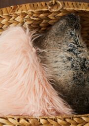Orsina Navy Blue Faux Fur Square Cushion, Plush Feather Filled Decorative Pillow For Sofa Or Bed, Soft Faux-Suede in Brown - thumbnail 5