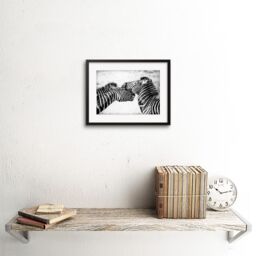 "Artery8 Wall Art Print Cute Zebra Couple Framed in Black - Size: W7"" x H9""" - thumbnail 2