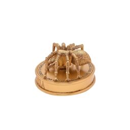 Warner Bros Harry Potter Herbology Figurine - Aragog in Gold - thumbnail 3