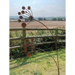 Poppyforge Cow Parsley Garden Art - Bare Metal/Ready to Rust - W37 x H133 cm in Metallics - thumbnail 3