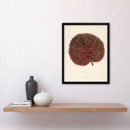 Artery8 Vintage Botanical Gesnera Exoniensis Leaf Fawcett Framed Wall Art in Beige - Size: A4 - thumbnail 2