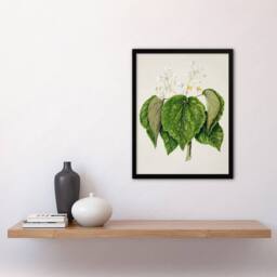 Artery8 Sarah Featon Framed Wall Art Print New Zealand Whau Cork Tree Flowers in Beige - Size: A4 - thumbnail 2