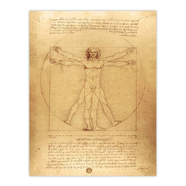 "Artery8 Vitruvian Man Drawing da Vinci Vintage Wall Art Print Poster in Brown - Size: W24"" x H32""" - image 1