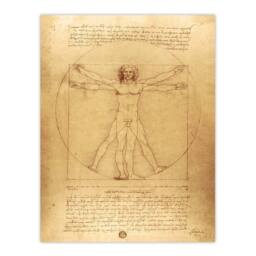 "Artery8 Vitruvian Man Drawing da Vinci Vintage Wall Art Print Poster in Brown - Size: W24"" x H32""" - thumbnail 1