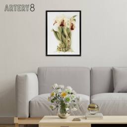 "Artery8 Frederick Sander Cattleya Aurea Orchid Flowers Framed Canvas Art Print in White - Size: W12"" x H16""" - thumbnail 3