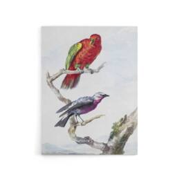 "Artery8 Red Green Parrot & Bird Watercolour Schouman Canvas Wall Art Print in White - Size: W12"" x H16""" - thumbnail 1