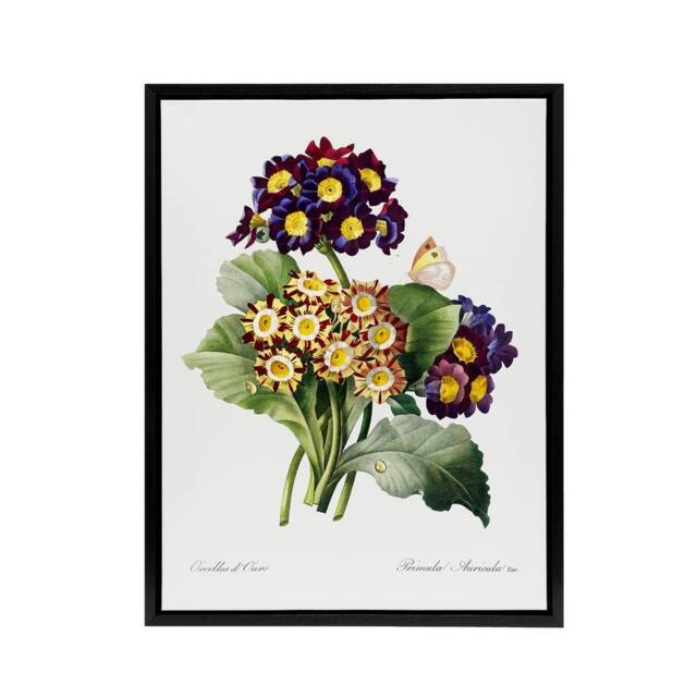"Artery8 Primrose Flowers Floral Redoute Vintage Black Framed Canvas Wall Art in White - Size: W24"" x H32""" - image 1