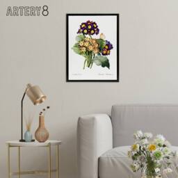 "Artery8 Primrose Flowers Floral Redoute Vintage Black Framed Canvas Wall Art in White - Size: W24"" x H32""" - thumbnail 3