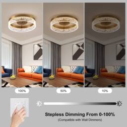 NIVOR 20W LED Ceiling Light Gold Clear Seeded Acrylic Lampshade Round Lamp - thumbnail 4