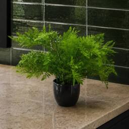 Leaf 30cm Artificial Potted Southern Wood Fern Black Pot Premium in Green