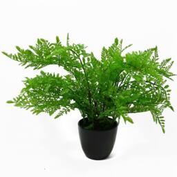 Leaf 30cm Artificial Potted Southern Wood Fern Black Pot Premium in Green - thumbnail 3