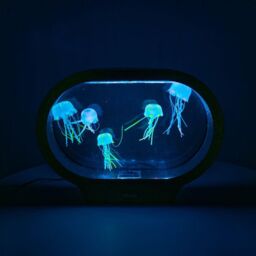 ValueLights Jellyfish Colour Changing Aquarium Table Lamp LED Night Light Sensory in Black - thumbnail 3