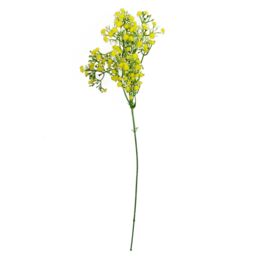 Leaf 55cm Gypsophila Yellow Stem - thumbnail 2