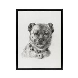 "Artery8 Dog head with a Collar Pencil Drawing Bernard Framed Canvas Wall Art in White - Size: W12"" x H16""" - thumbnail 1