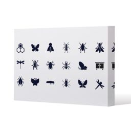 Benjamin Tate Design Insect icons (Canvas Print) / 46 x 31 x 4cm in Natural - Size: 46 x 31 x 4 cm - thumbnail 1