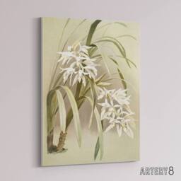 "Artery8 Frederick Sander Cymbidium Mastersi Orchid Flowers Canvas Art Print - Size: W12"" x H16""" - thumbnail 2