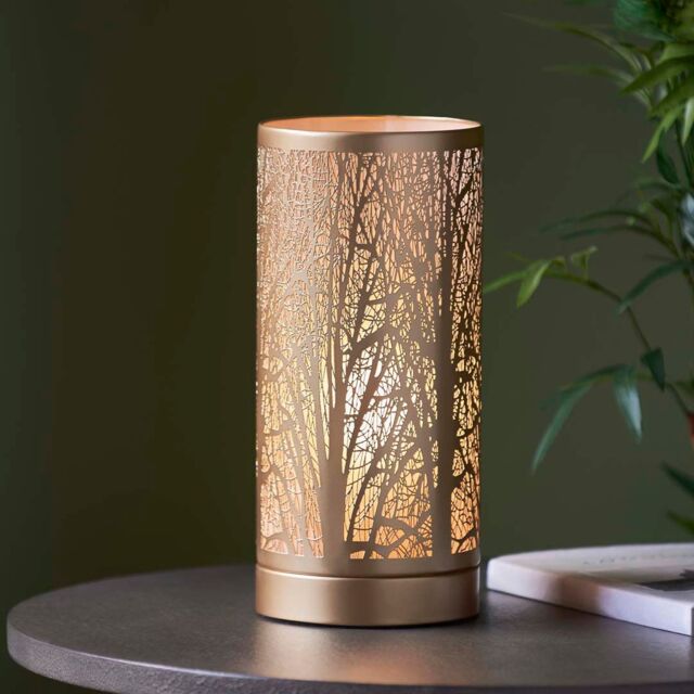 Pagazzi Mason Antique Brass Touch Table Lamp in Gold - image 1