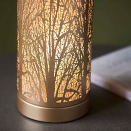 Pagazzi Mason Antique Brass Touch Table Lamp in Gold - thumbnail 4